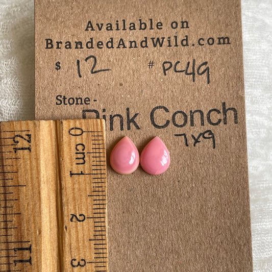 Pink Conch Cabochon - PC49