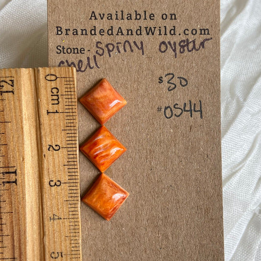 Oystershell Cabochon - OS44 F4CB6E55-36E3-4432-808B-67FD81987906 Brandedandwild.com