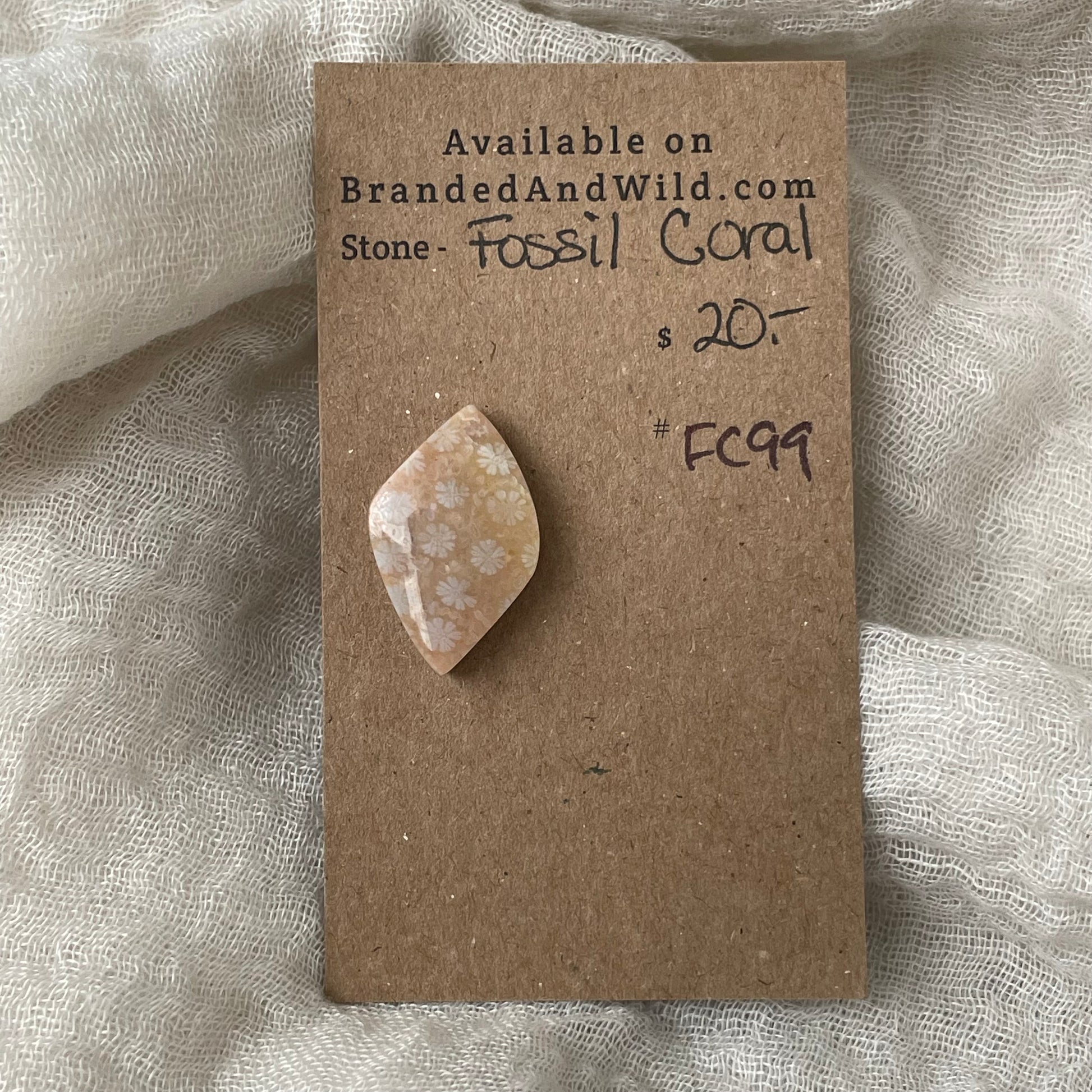 Fossil Coral Cabochon - FC99 F4D91A8E-C6C7-401E-92C0-2B877E1270A7 Brandedandwild.com