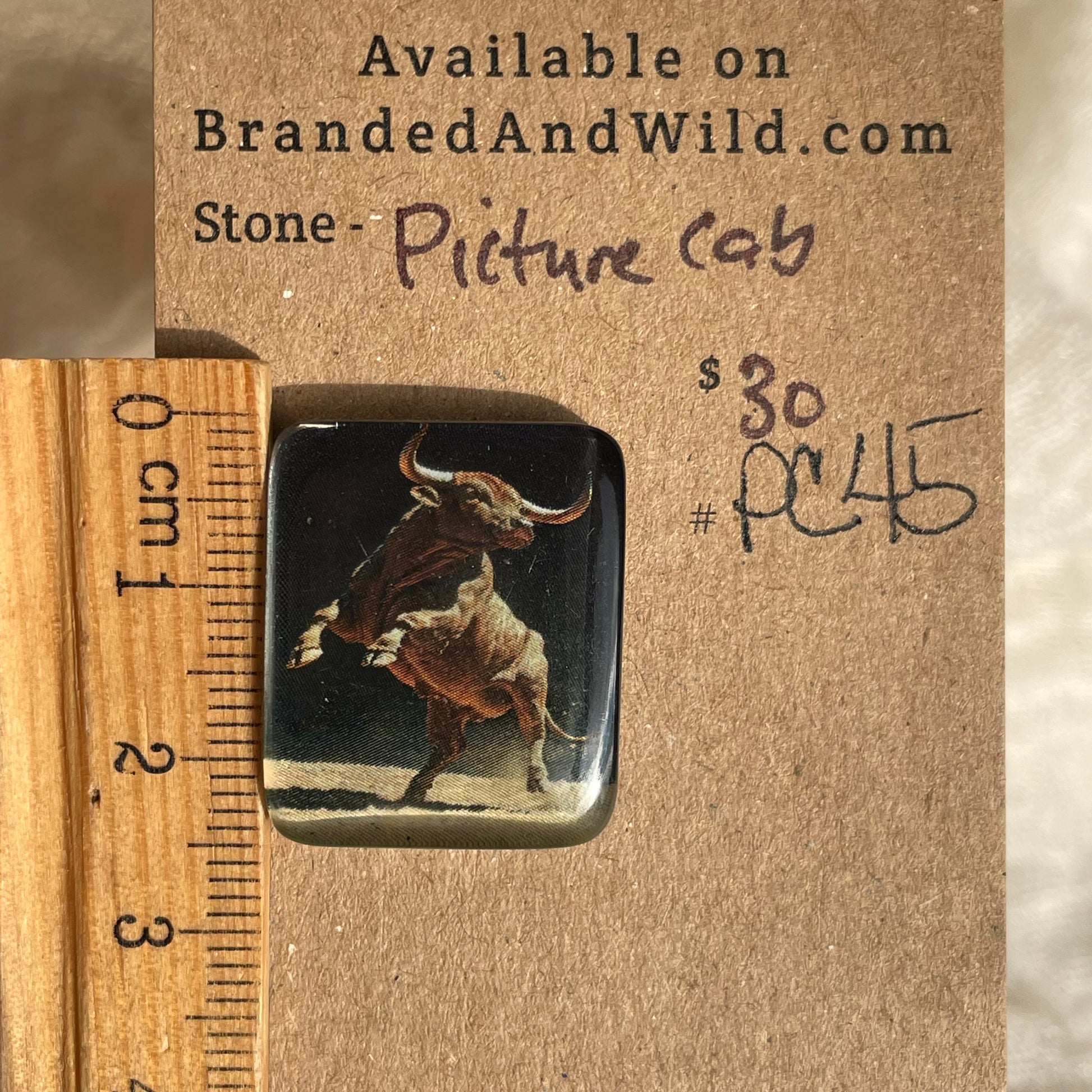 Picture Cabochon - Cabochon - PC45 F5300C49-F402-4CD6-9FCF-018D13570F8A Brandedandwild.com