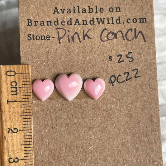 Pink Conch Cabochon - PC22 F53D8EB2-18D4-4C4F-AEBC-5C22967C60AB Brandedandwild.com