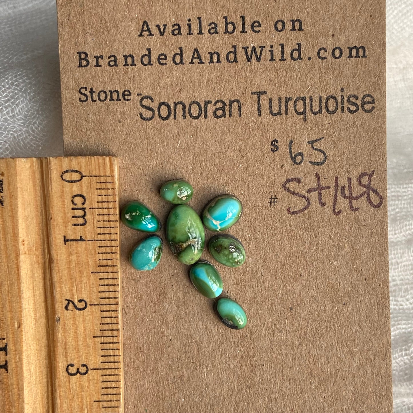 Sonoran Turquoise Cabochon - ST148