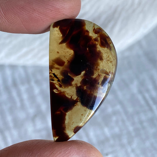 Amber Cabochon AM53