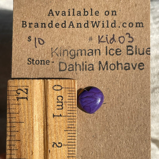 Kingman Ice Blue Dahlia Mohave - KID03 F562416B-A499-47E1-9824-8A913A5BBF89 Brandedandwild.com