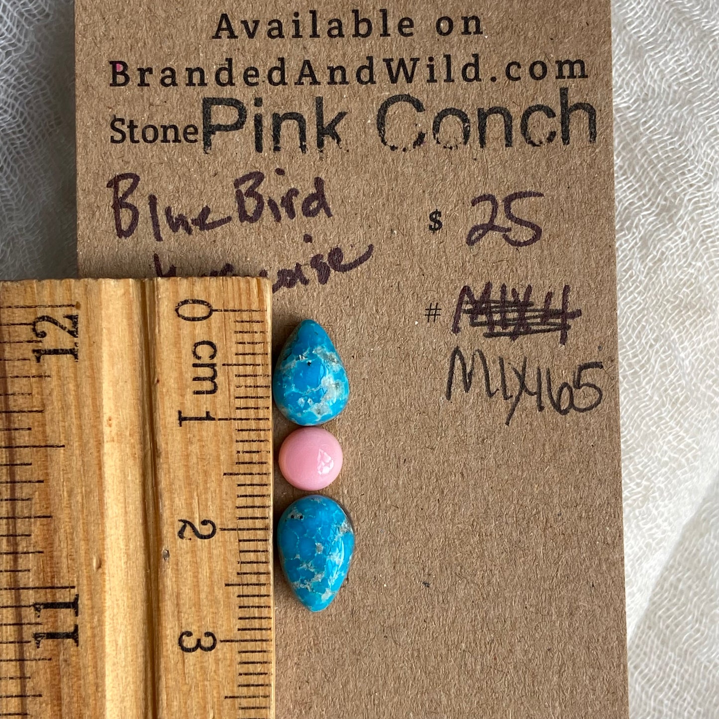 Blue Bird /  Pink Conch Cabochon - MIX165