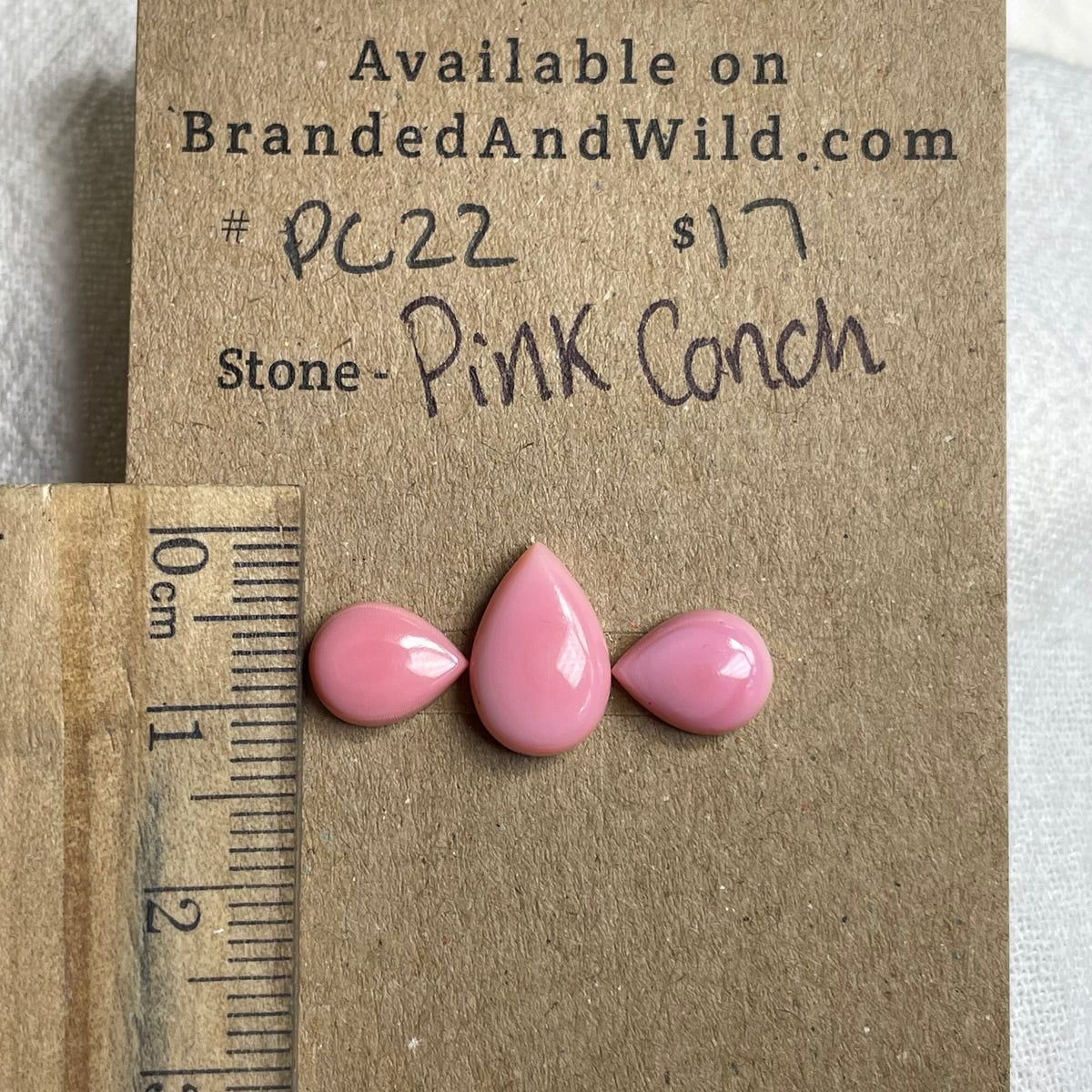 Pink Conch Cabochon - PC22 F57724F7-894F-487B-9FBA-5D3BC24FBFD8 Brandedandwild.com