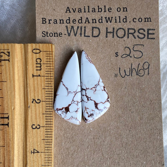 Wild Horse Cabochon - WH69