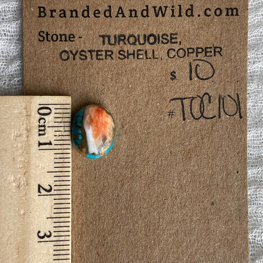 Turquoise, Oyster Shell, Copper - TOC101
