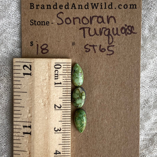 Sonoran Turquoise Cabochon - ST65
