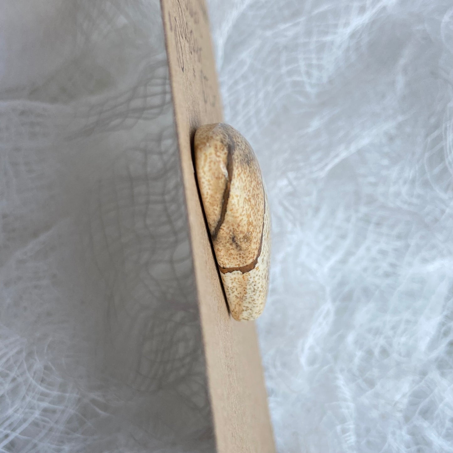 Picture Jasper Cabochon - PJ30
