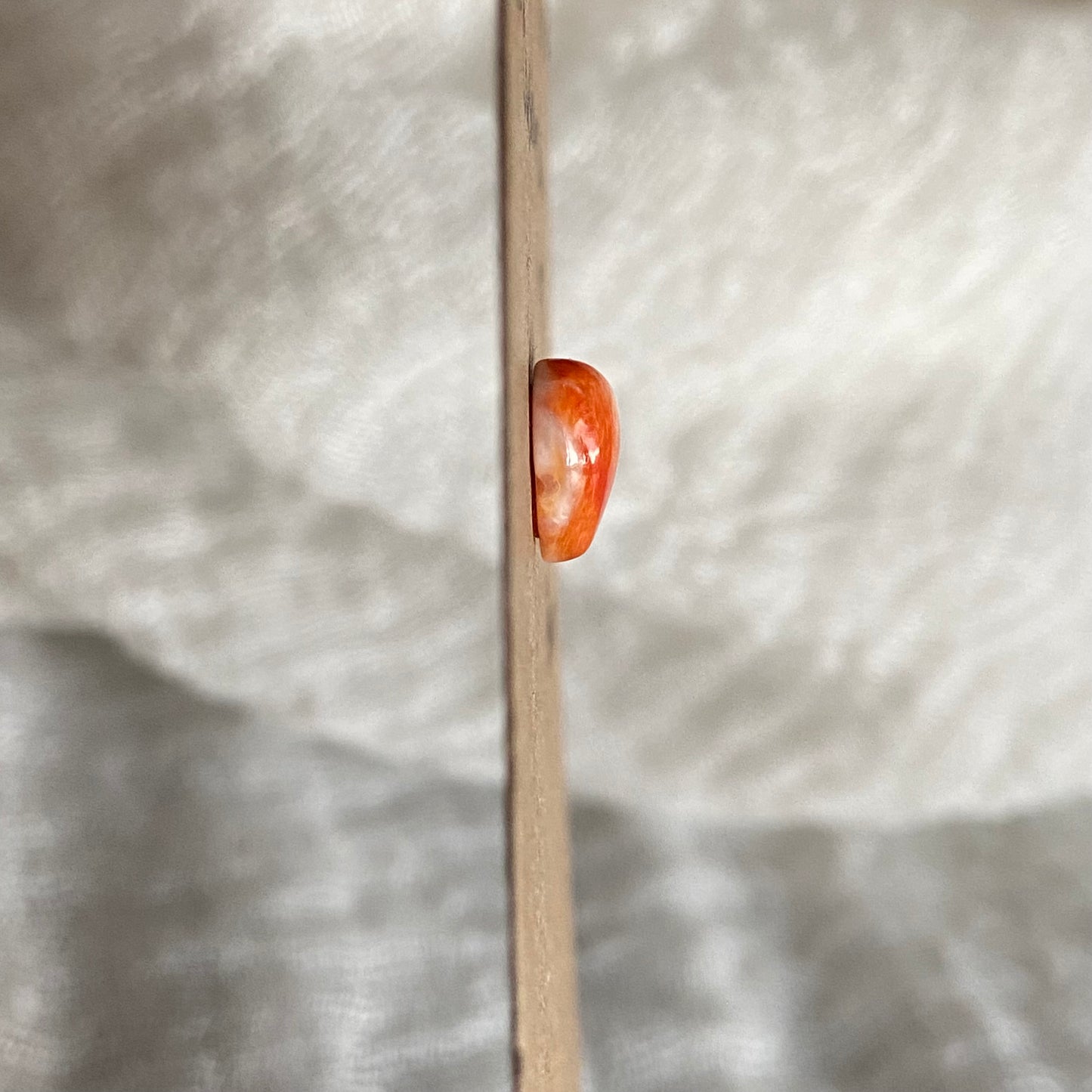 Oystershell Cabochon - OS10
