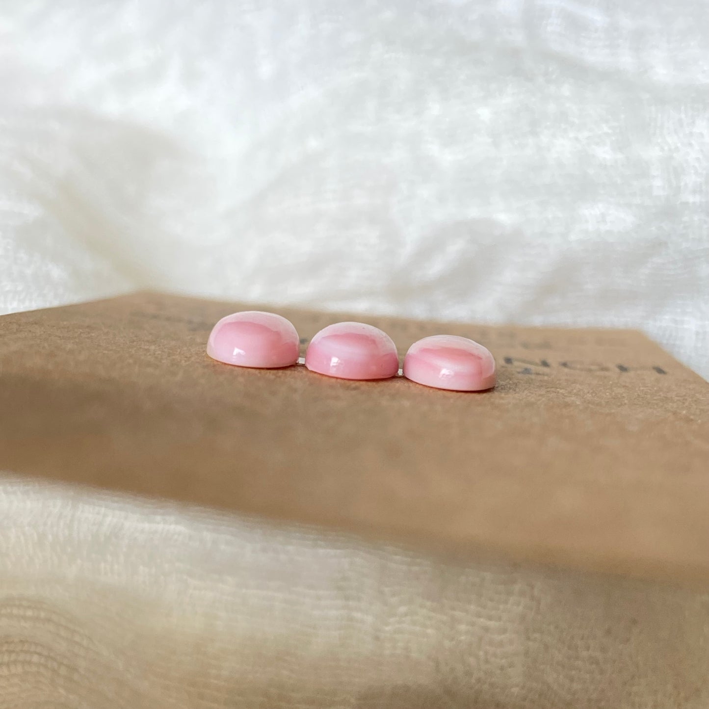 Pink Conch Cabochon - PC12 F6047D7E-7051-4208-B917-AEC47F26D8E3 Brandedandwild.com