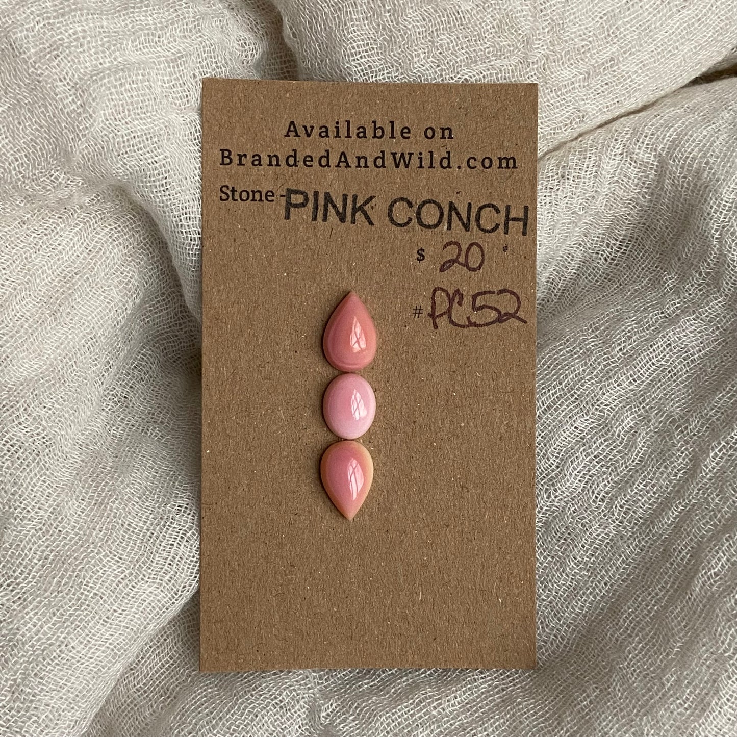 Pink Conch Cabochon - PC52