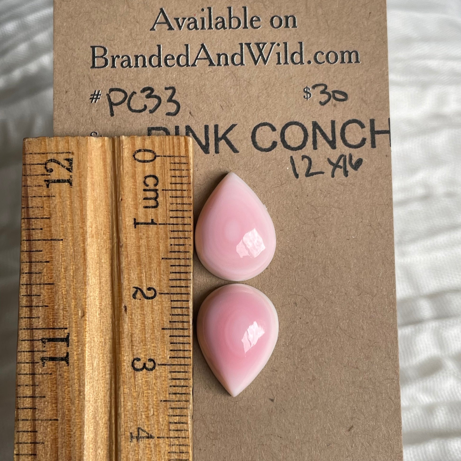 Pink Conch Cabochon - PC33 F6213F76-9036-4596-AFDF-F174E0CA8A65 Brandedandwild.com