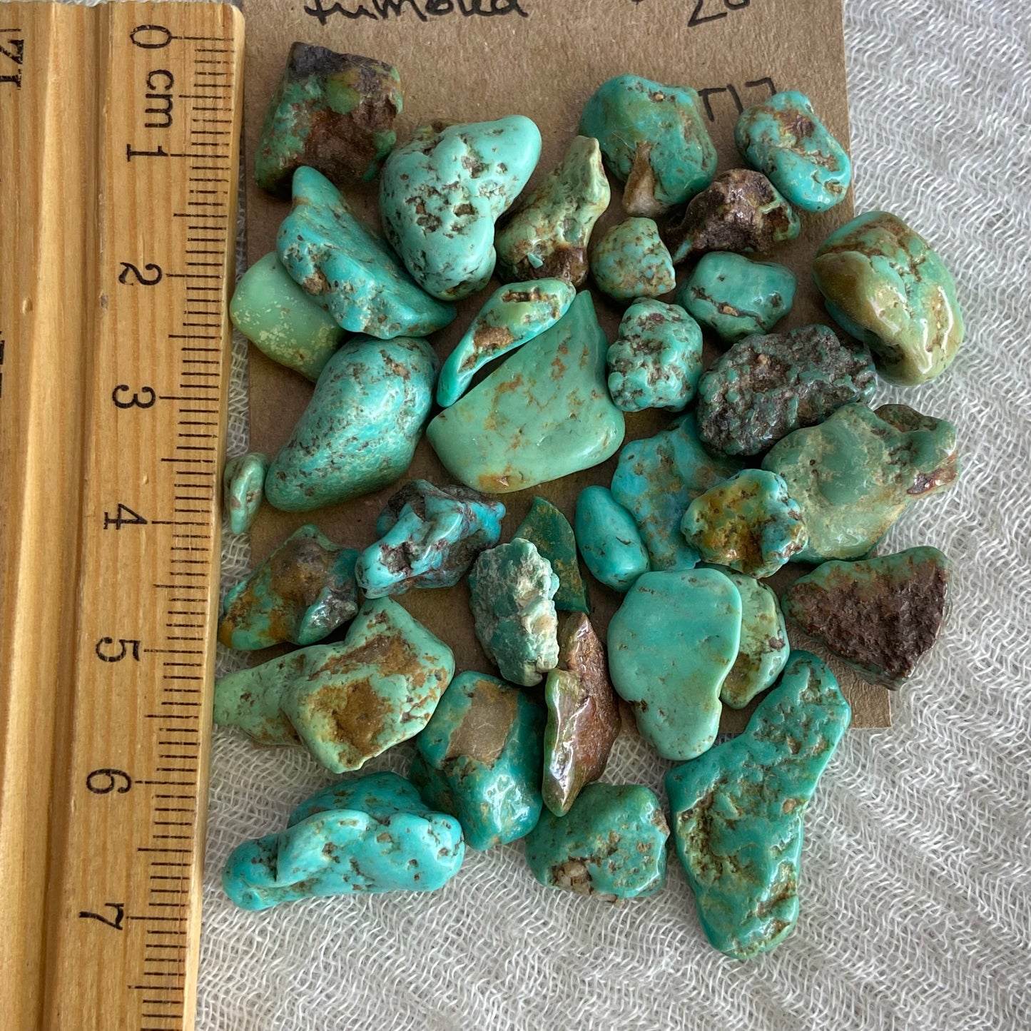 Rough Tumbled Sonoran Gold Turquoise - #ST17