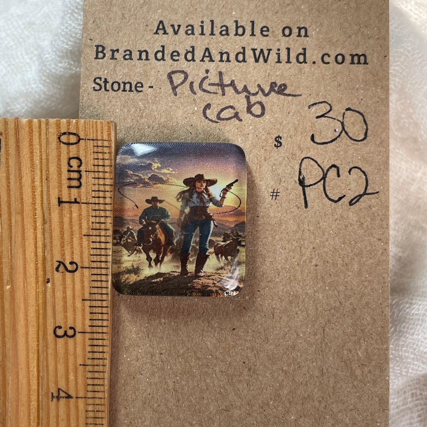 Picture Cabochon - Cabochon - PC2 F652C5C8-8685-46F5-95C5-D9F812A91B6B Brandedandwild.com