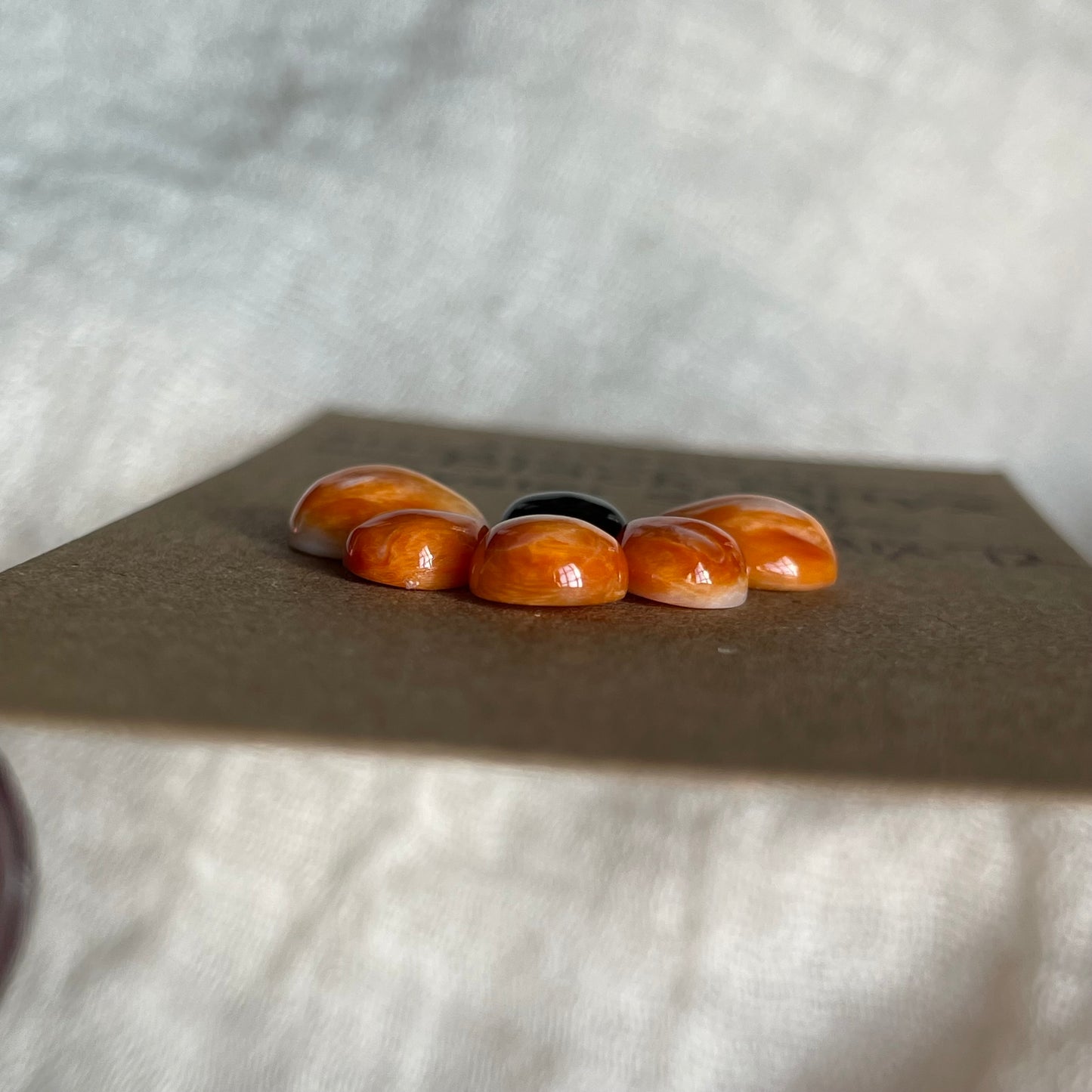 Oyster Shell / Black Onyx Cabochon - Mix72