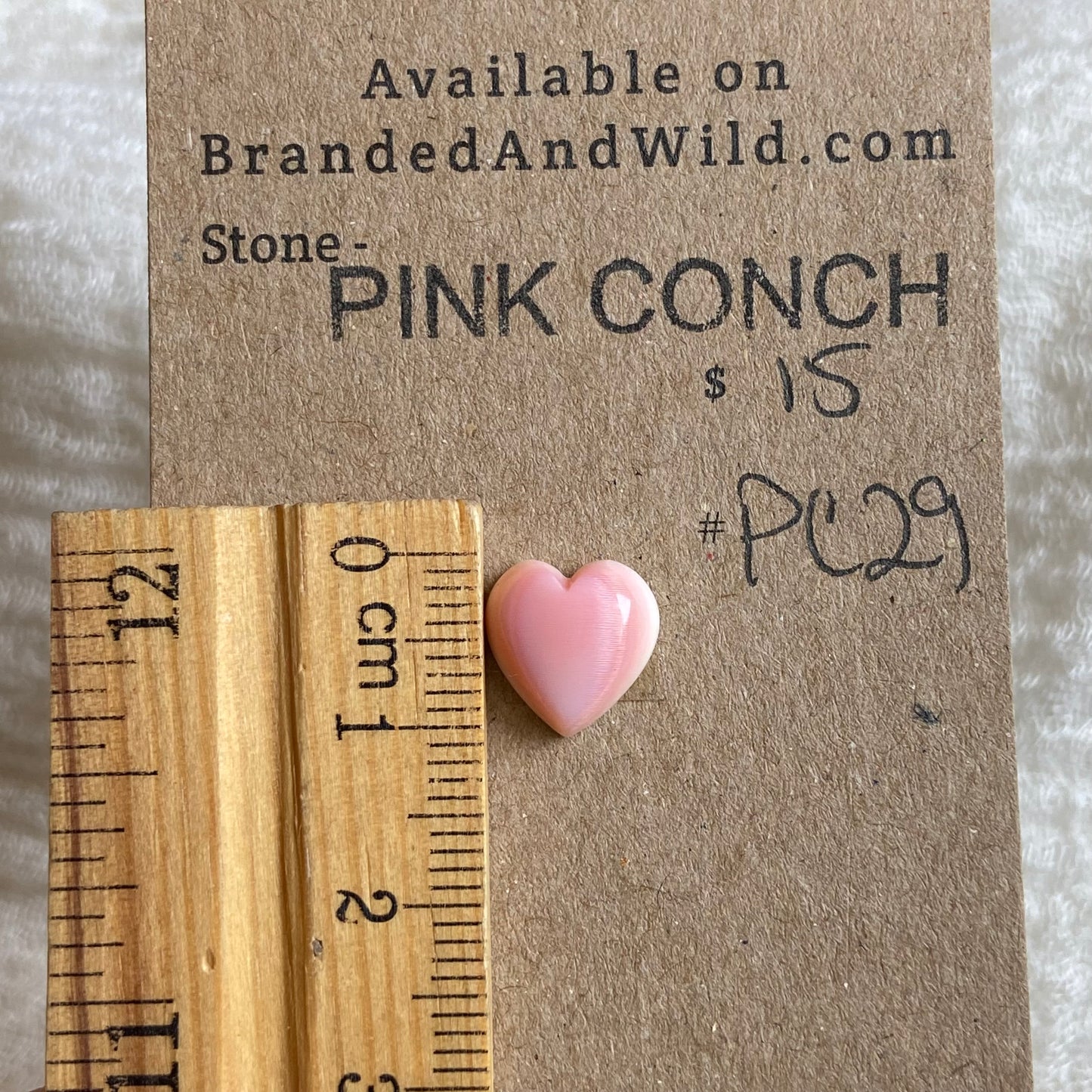 Pink Conch Cabochon - PC29
