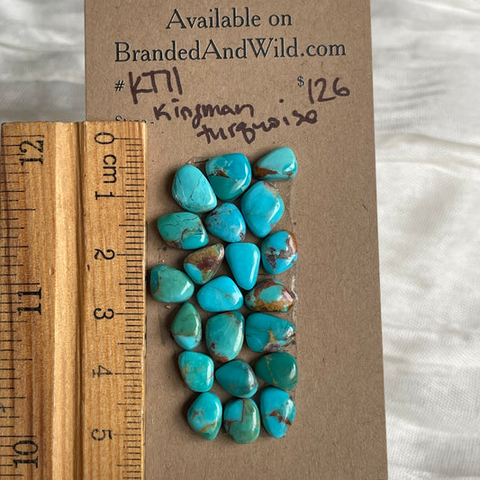 Kingman Turquoise Cabochon - KT11 F6A313CD-FCFD-4648-ADA2-2FFF7772C113 Brandedandwild.com