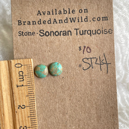 Sonoran Turquoise Cabochon - ST44 F6AC5AB7-9764-4D7F-ACB7-4D64E6125CA4 Brandedandwild.com