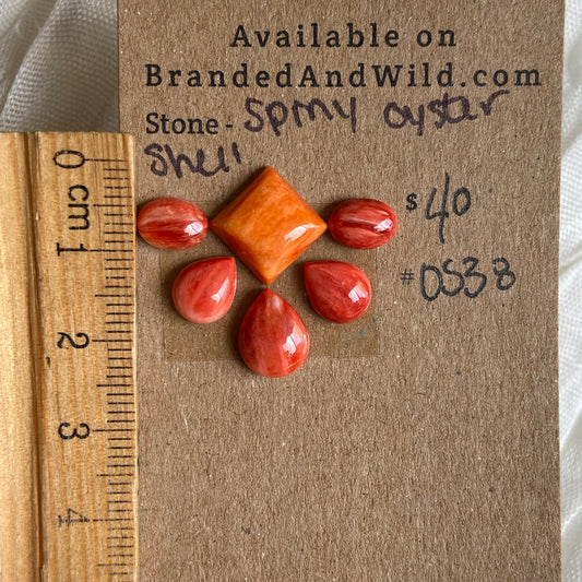 Oystershell Cabochon - OS38 F6E52FA0-558F-4AB9-9D20-E9429FCC72B9 Brandedandwild.com
