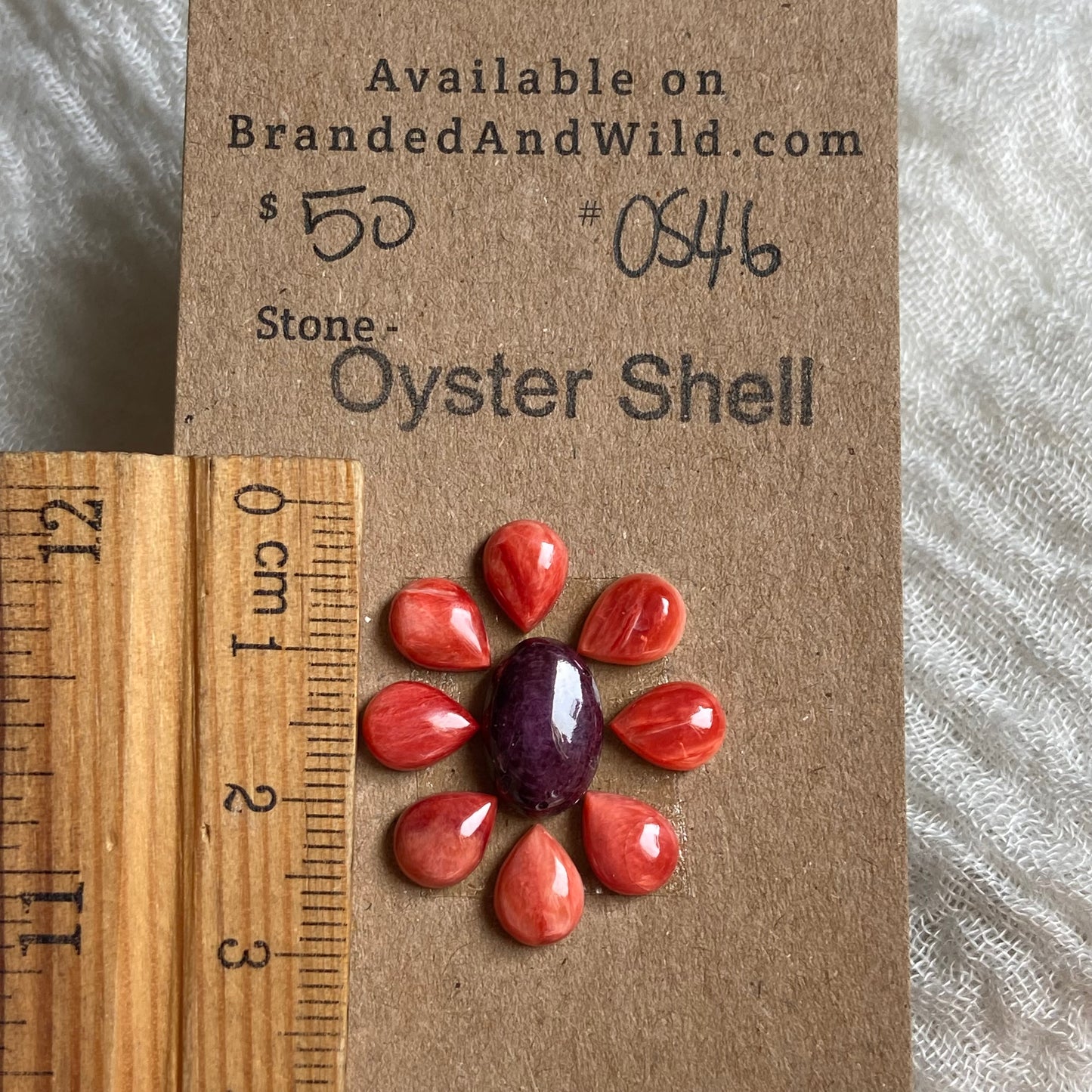 Oyster Shell Cabochon - OS46