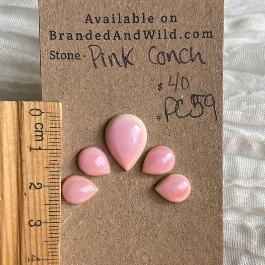Pink Conch Cabochon - PC59 F711B7A3-EEF9-4F7F-B776-E3FC03234DFA Brandedandwild.com