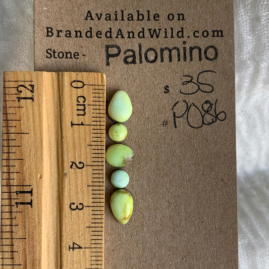 Palomino Cabochon - P086