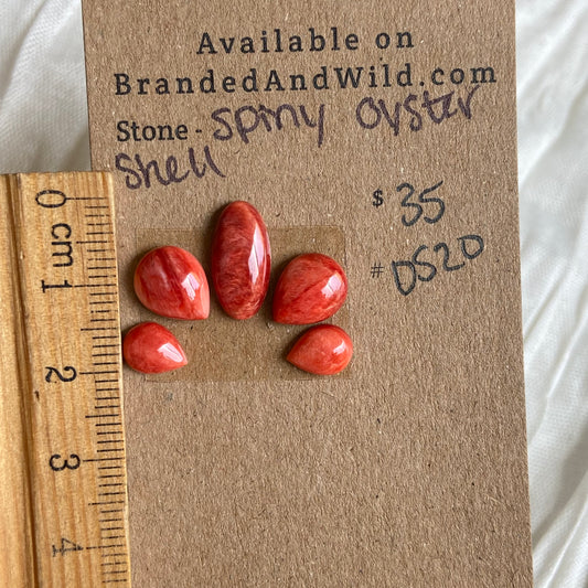 Oystershell Cabochon - OS20 F72CA044-BCA4-48D0-8CE4-A34D3B045BBE Brandedandwild.com
