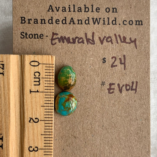 Emerald Valley Turquoise Cabochon - EV04