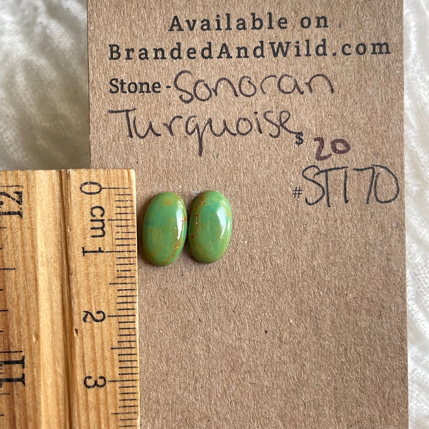 Sonoran Turquoise Cabochon - ST170 F743462A-B3BA-4C3A-9A95-285B0E300A8A Brandedandwild.com