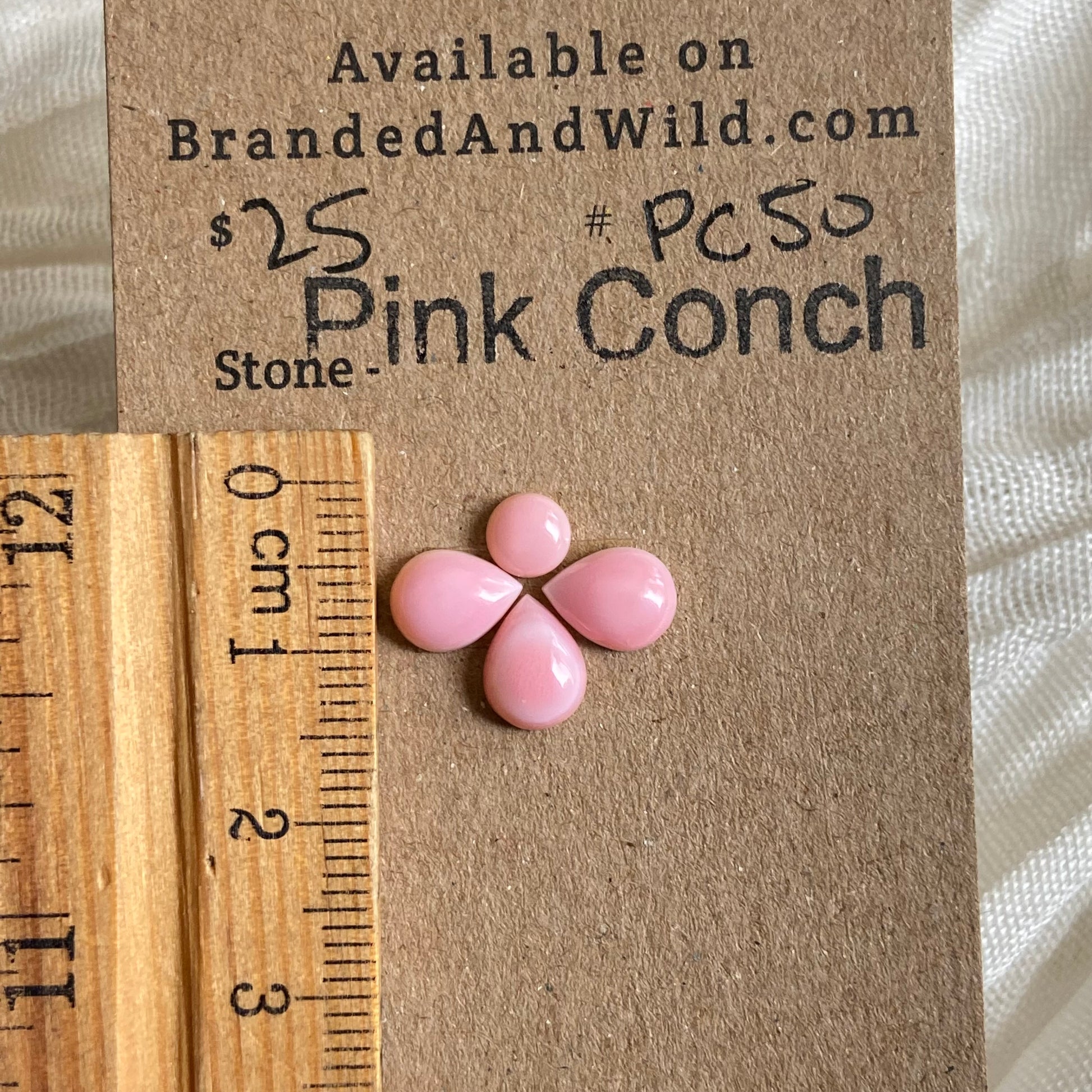 Pink Conch Cabochon - PC50 F755A975-5122-41AC-BE73-C97E3257B32F Brandedandwild.com