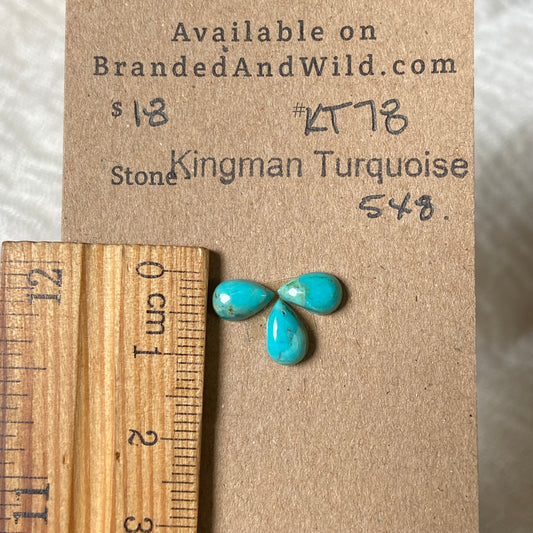 Kingman Turquoise Cabochon - KT78 F7574076-81EE-4987-A993-A91F8AC92ADD Brandedandwild.com