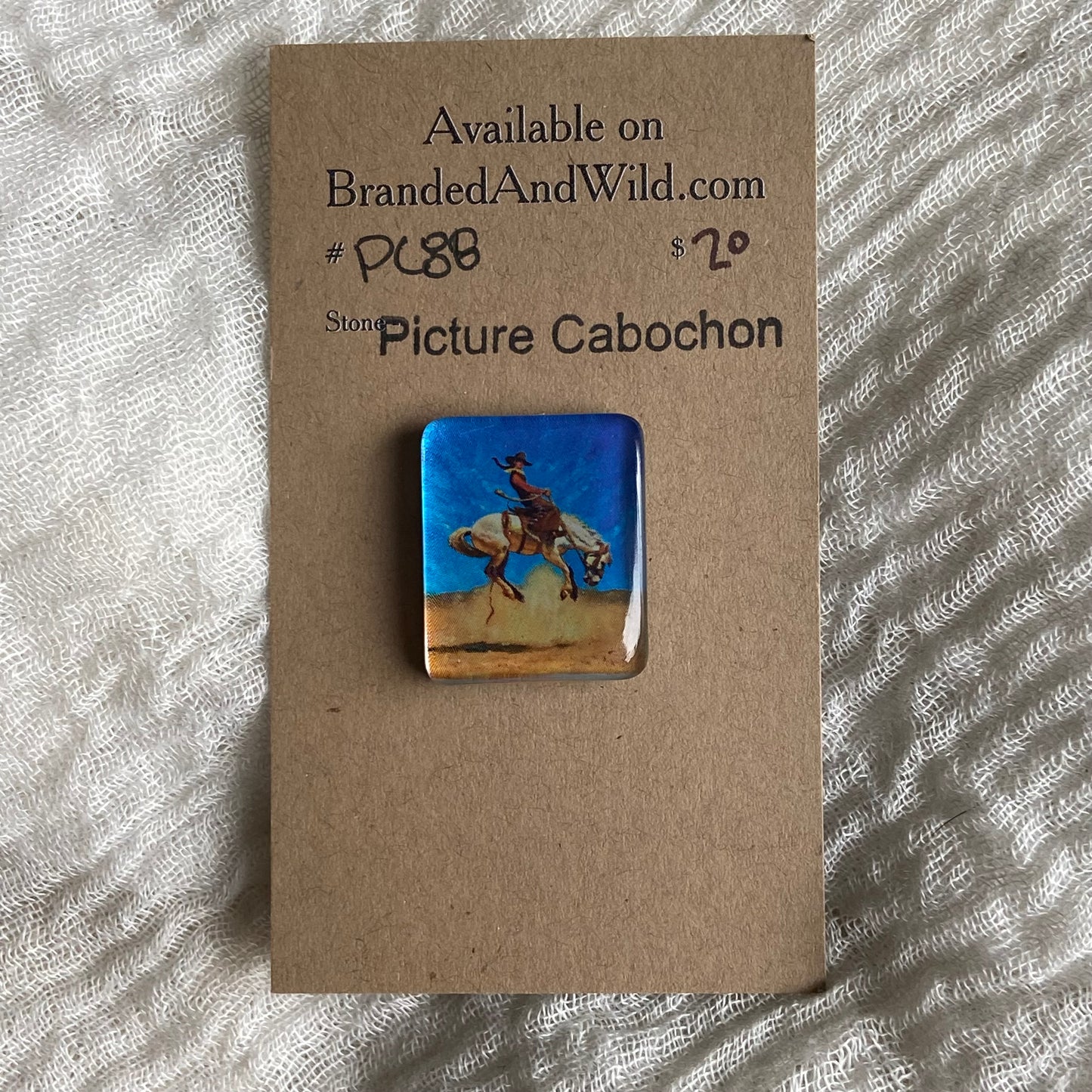 Picture Cabochon - Cabochon - PC88 F77FD158-BFD1-493E-A41C-3D519051CA62 Brandedandwild.com