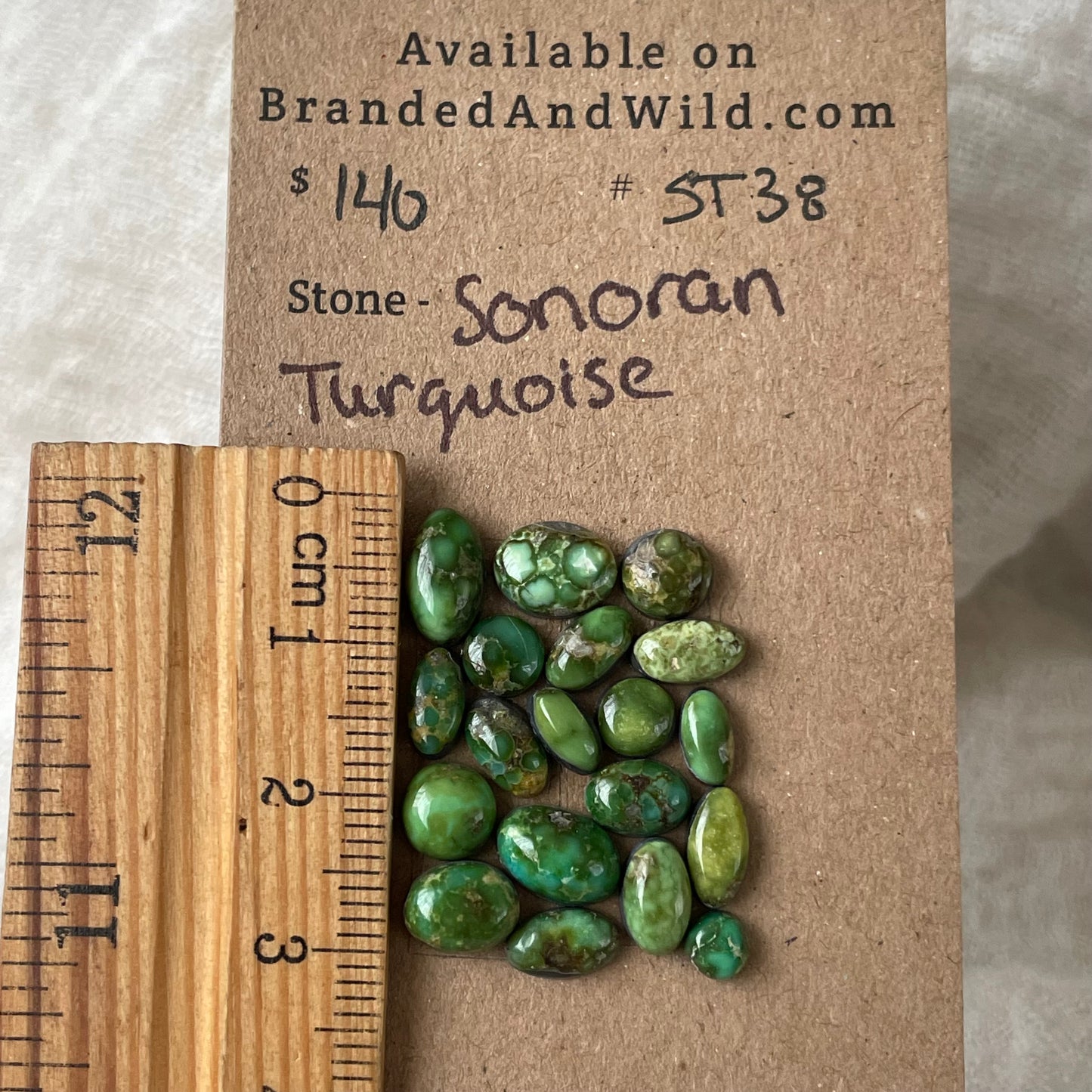 Sonoran Turquoise Cabochon - ST38 F79C077E-47DE-46A1-BAB7-BC7B7A8CD64B Brandedandwild.com