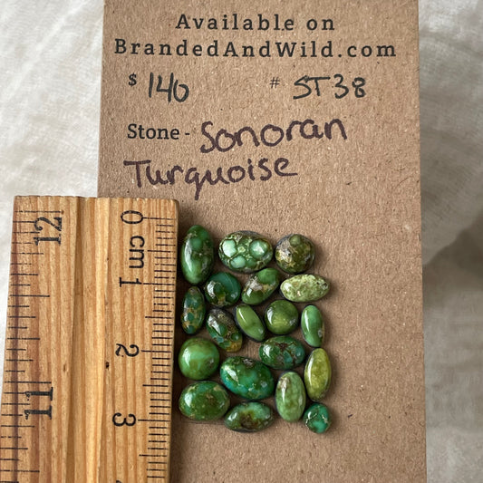 Sonoran Turquoise Cabochon - ST38 F79C077E-47DE-46A1-BAB7-BC7B7A8CD64B Brandedandwild.com