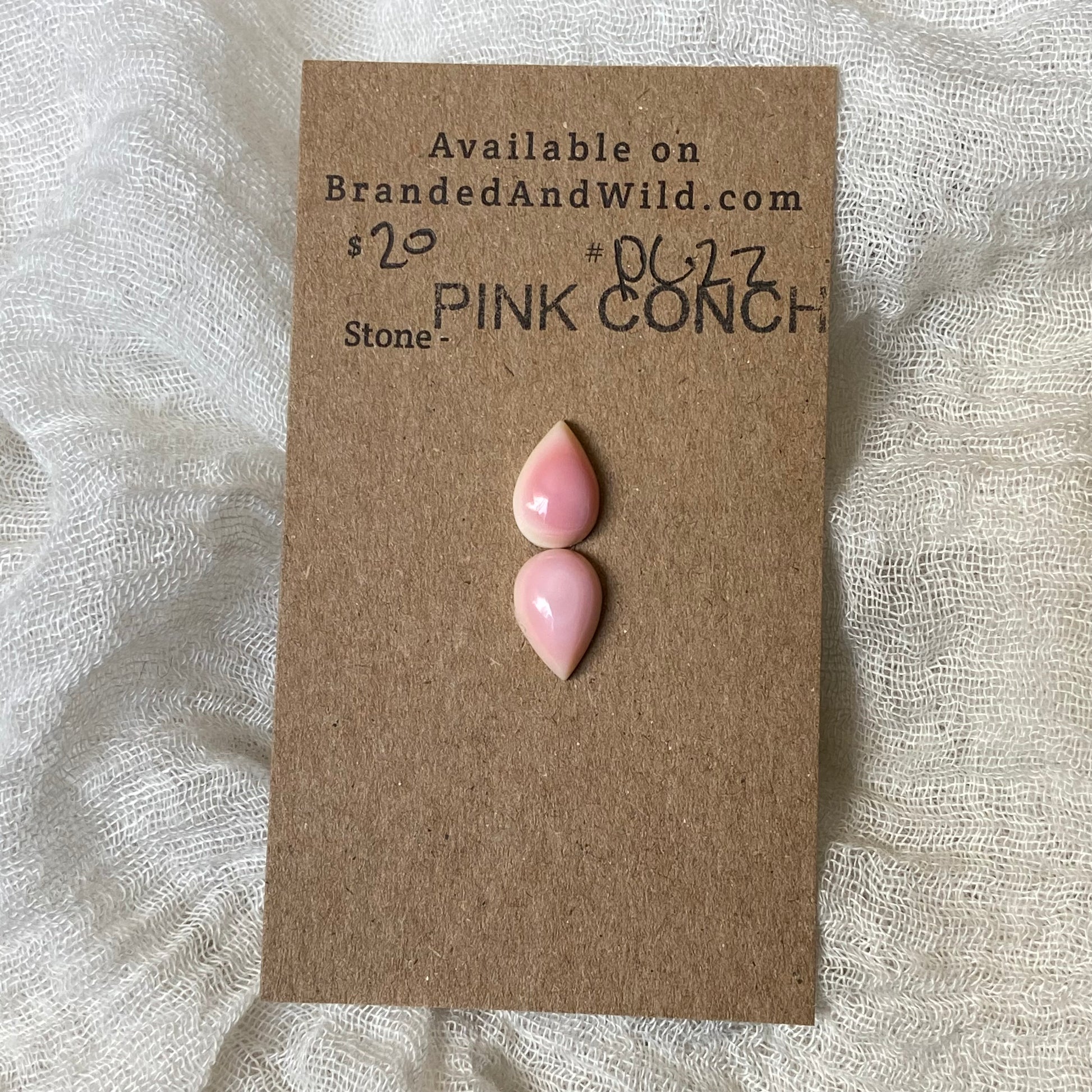 Pink Conch Cabochon - PC22 F7BD9364-BFA9-4A60-A57F-E167A5E5EEE1 Brandedandwild.com