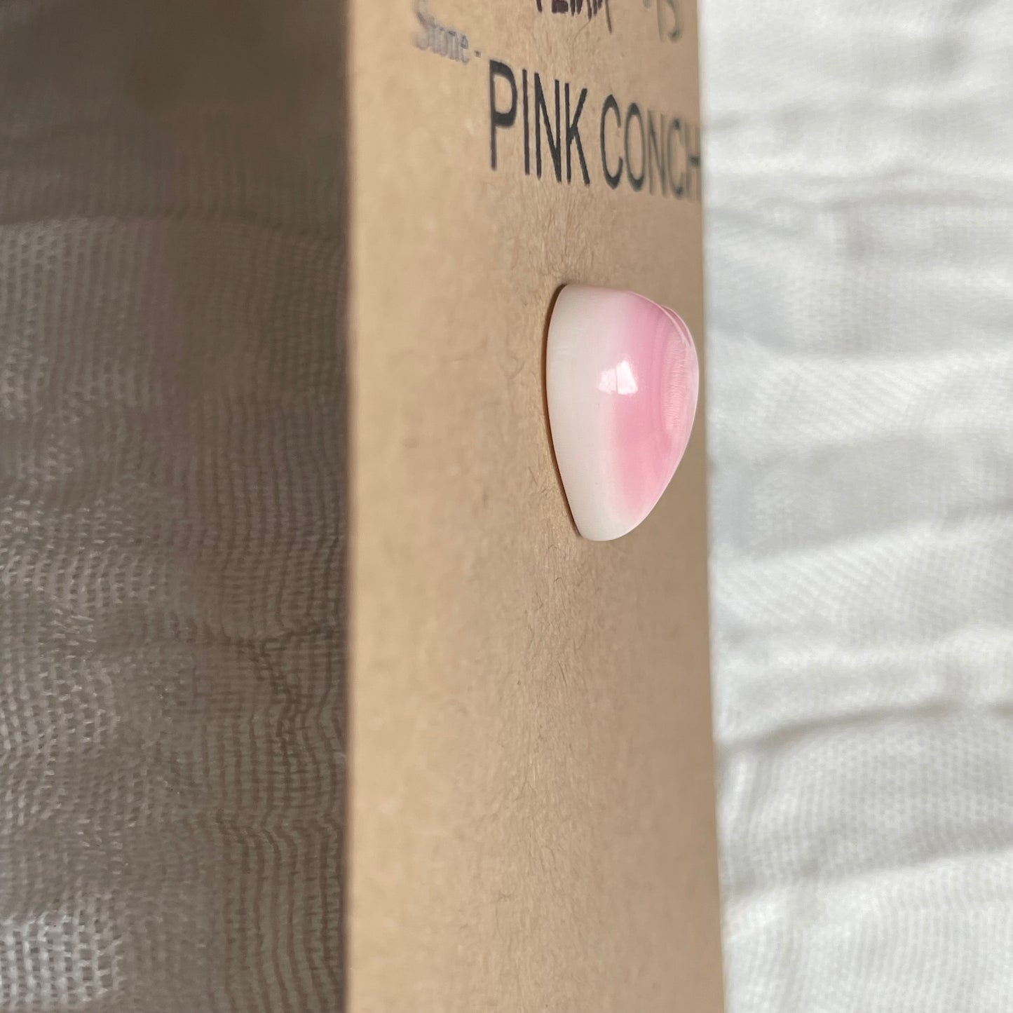 Pink Conch Cabochon - PC15 F7C58119-8337-46BE-8867-35D76E5E29DA Brandedandwild.com