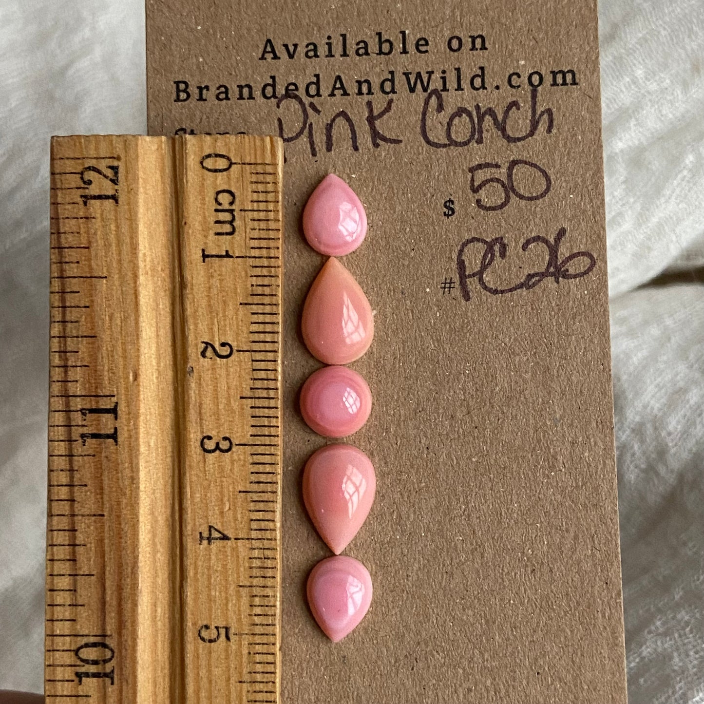 Pink Conch Cabochon - PC26