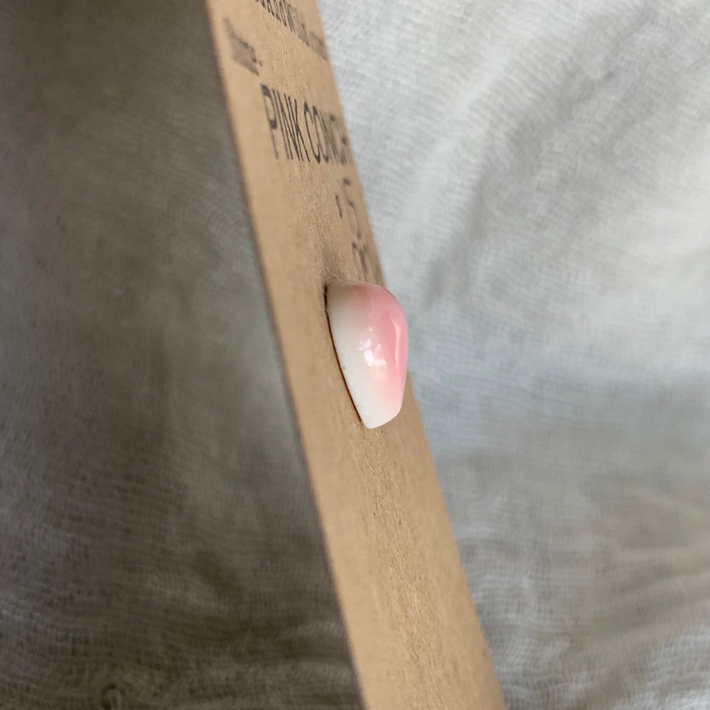 Pink Conch Cabochon - PC26