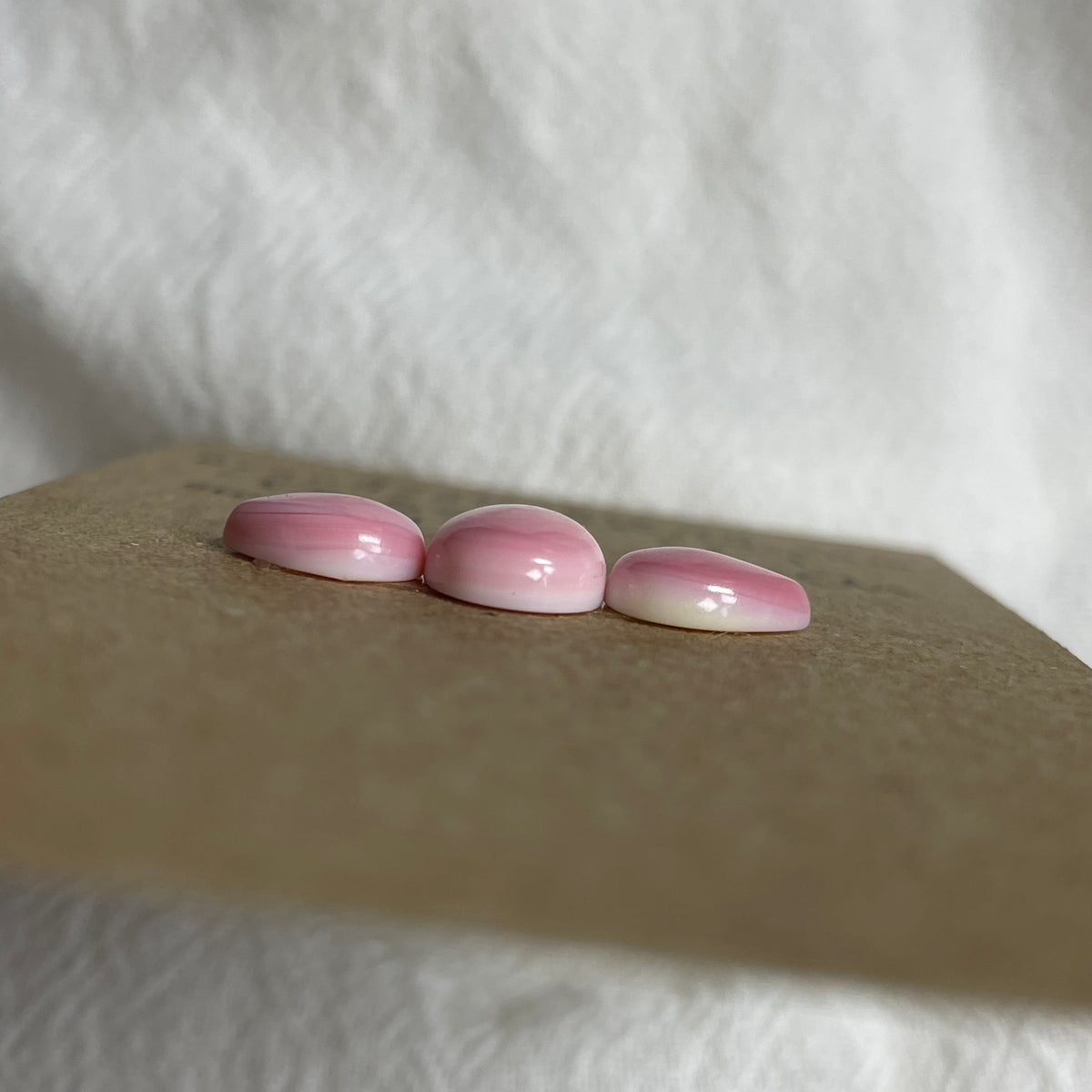 Pink Conch Cabochon - PC30 F83D2F53-736C-400E-ABB7-A30977BA4729 Brandedandwild.com