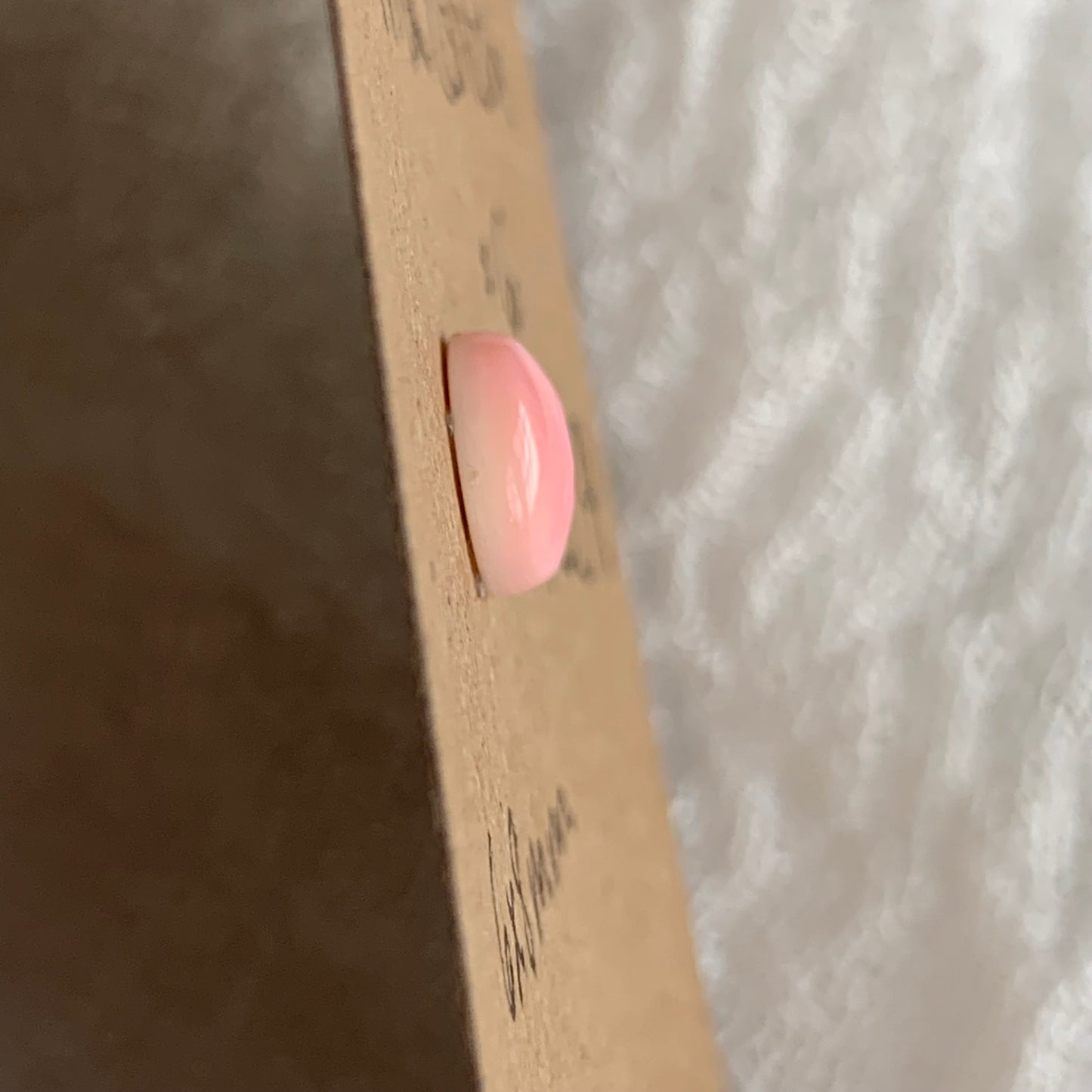 Pink Conch Cabochon - PC09