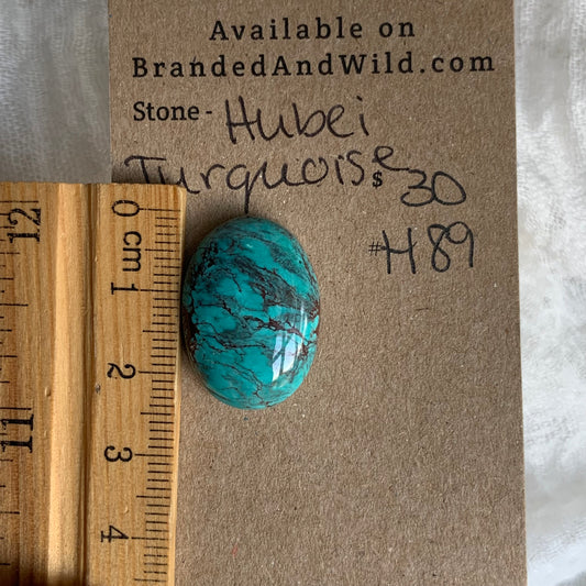 Hubei Turquoise Cabochon - H89