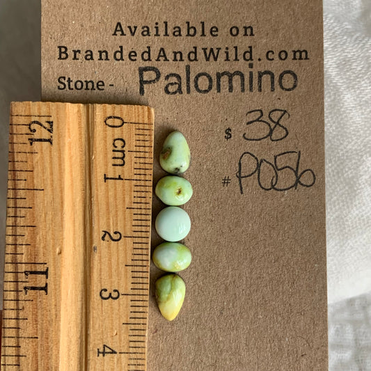 Palomino Cabochon - P056