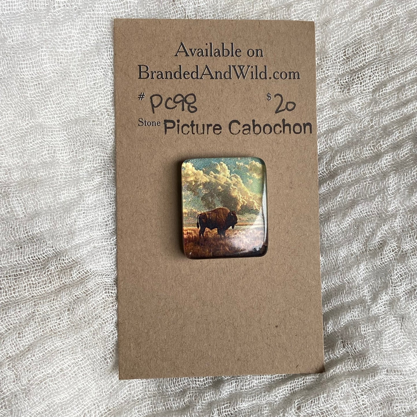 Picture Cabochon - Cabochon - PC98 F87579D2-A174-45D1-A2E7-DF2E1B6F60A4 Brandedandwild.com