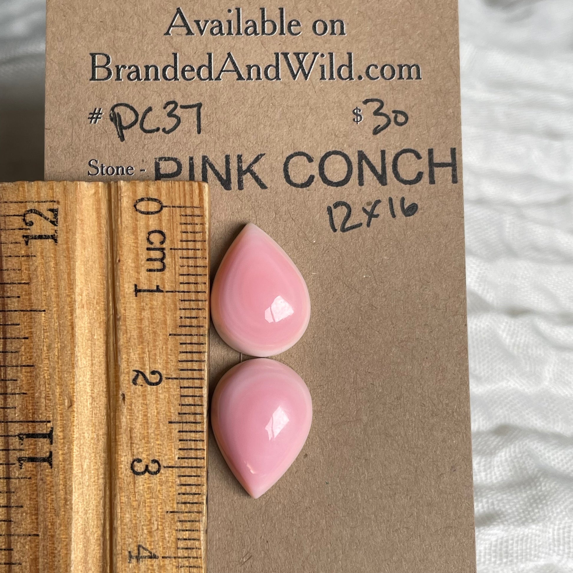 Pink Conch Cabochon - PC37 F87BDFD1-2348-4FF5-870F-8EBC359A1193 Brandedandwild.com