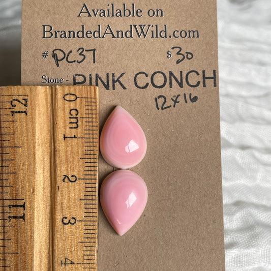 Pink Conch Cabochon - PC37 F87BDFD1-2348-4FF5-870F-8EBC359A1193 Brandedandwild.com