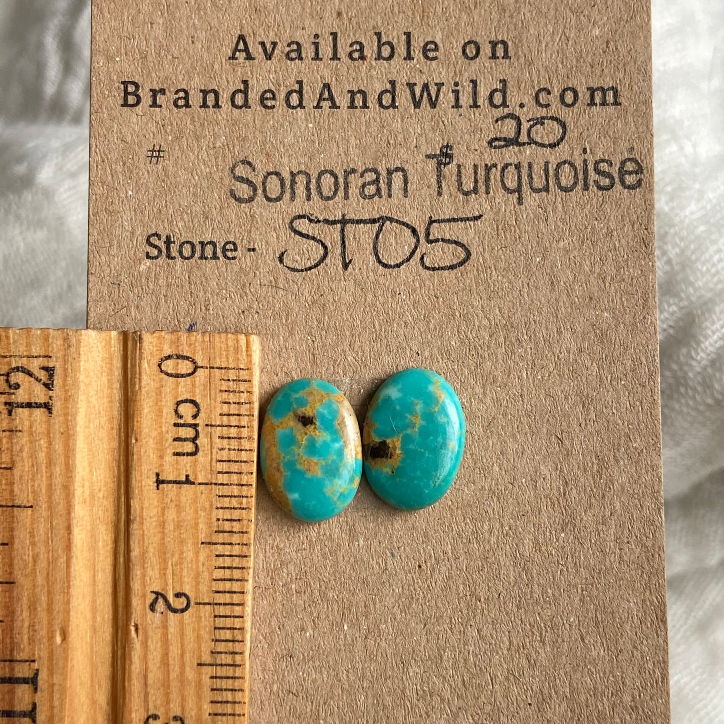 Sonoran Turquoise Cabochon - ST05