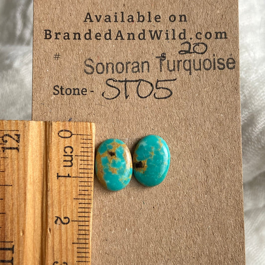 Sonoran Turquoise Cabochon - ST05 F88D785F-11A0-4C1E-94D1-7D4285147E98 Brandedandwild.com
