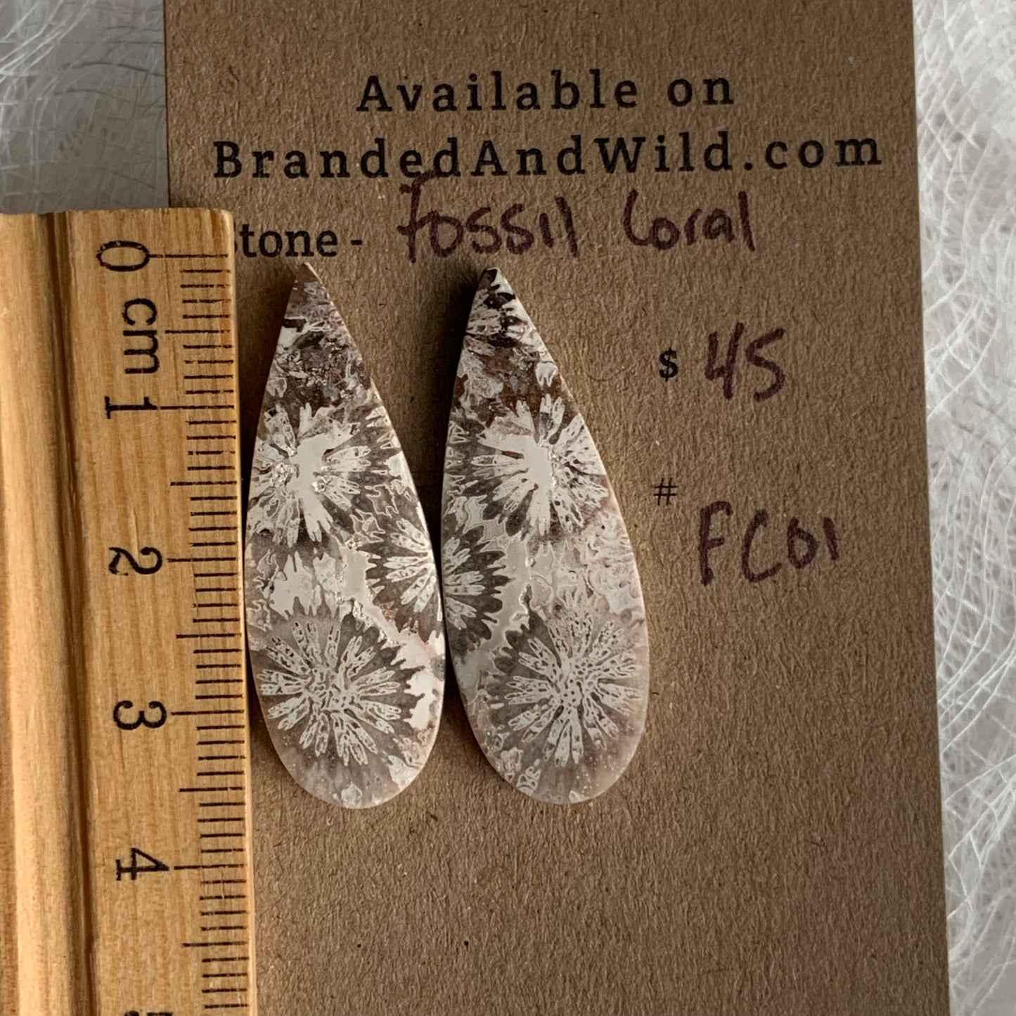 Fossil Coral Cabochon - FC01